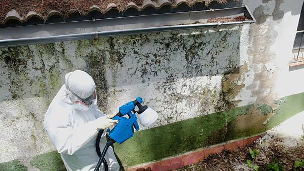 Trusted Mold Remediation service in Elizabethtown, PA - Cheap Mold Removal